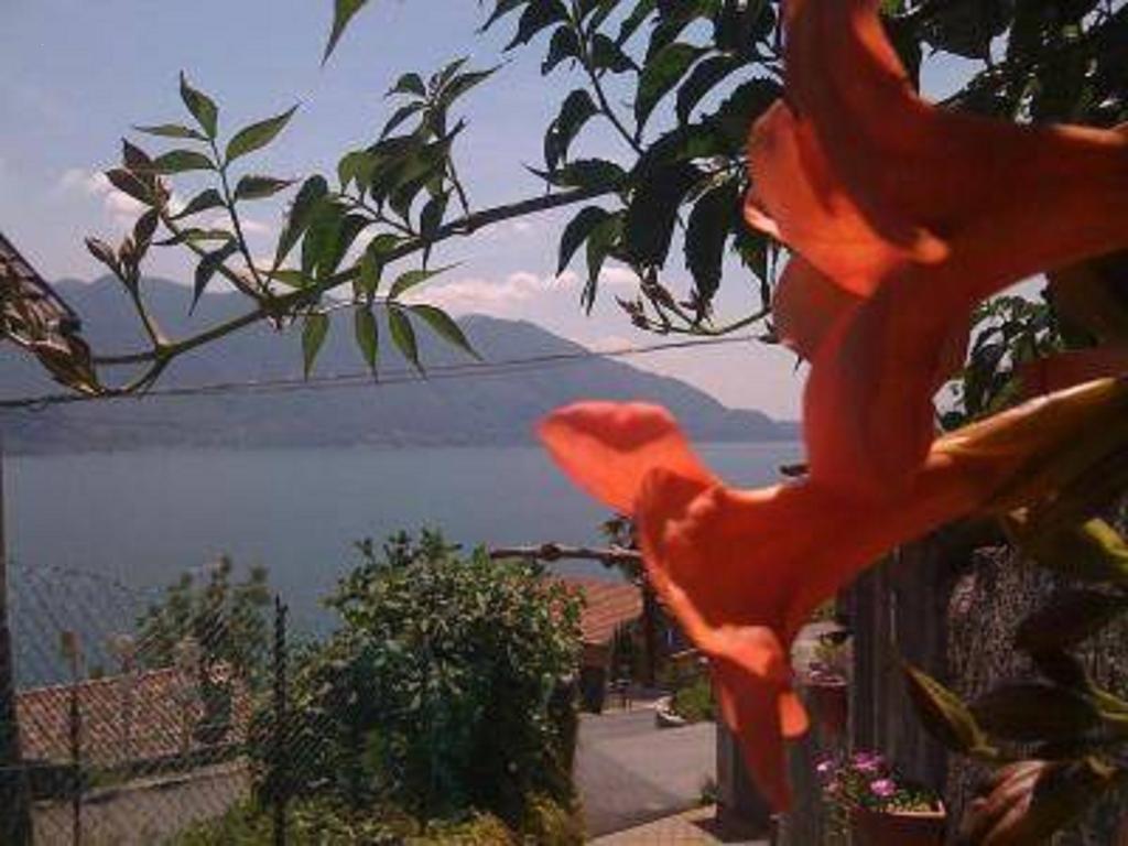 Home Sweet Home Lakeview Oggebio Exterior foto